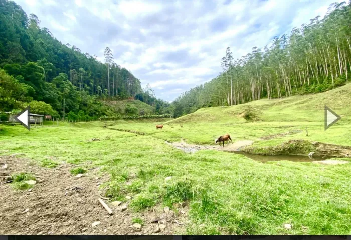 Linda área rural com 82 hectares em Vidal Ramos (SC)