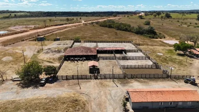 Arrendamento disponivel em São Domingos/GO para 3.000 vacas ou bezerros