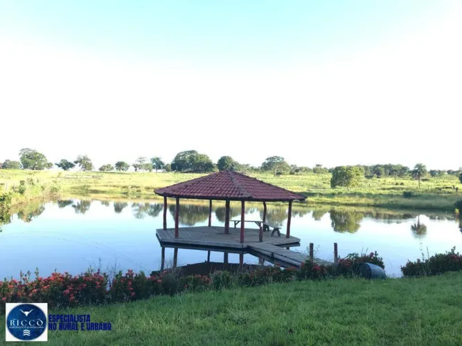 Fazenda à Venda em Nova Crixás GO | 55 Alqueires | 100% formada