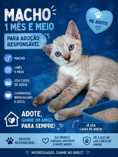 Adoção responsável