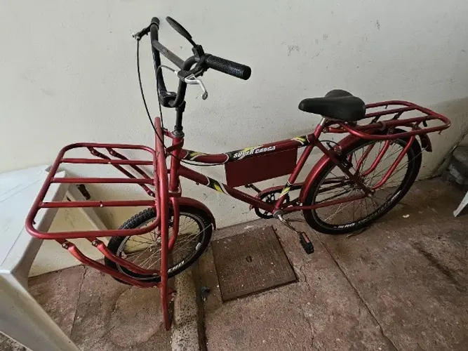 Bicicleta cargueira