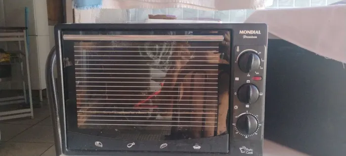 Forno elétrico