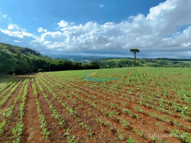 Sítio à venda, 72600 m² por R$ 700.000,00 - Linha Santana - Catanduvas/PR