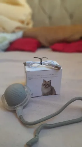 Bola para gatos