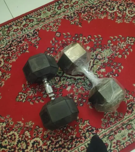 Par de Dumbbell, ~25 kg cada (total de ~50kg)