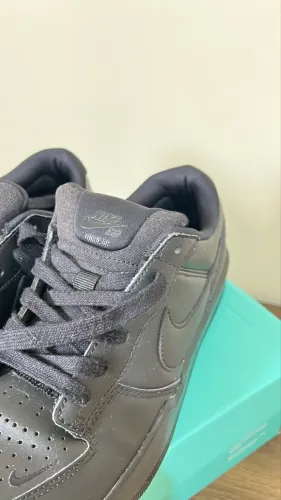 NIKE SB Force 