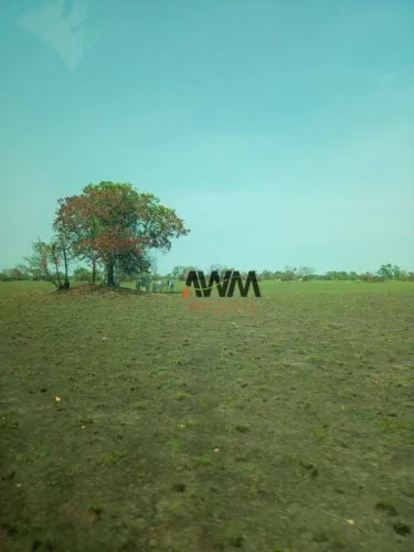 Fazenda à venda, m² por R$ 18.000.000,00 - Zona Rural - Alto Boa Vista/MT