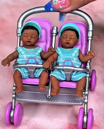 My mini baby surprise gêmeos