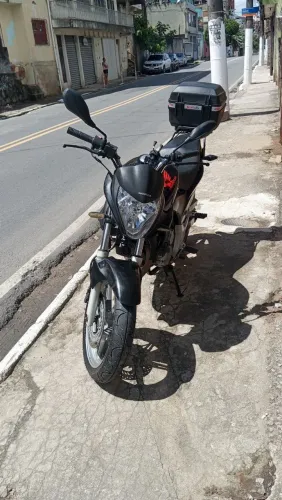 Toda revisada pineus novos