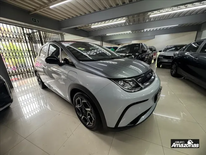 BYD Dolphin Plus (Elétrico) 2024
