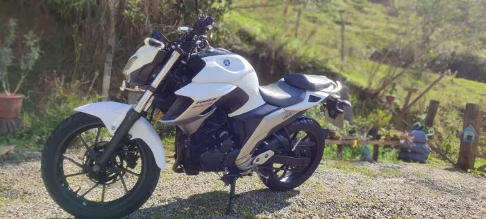 Yamaha FZ25 Fazer 2019 Flex