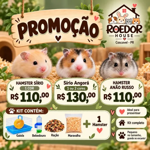 Kit hamster