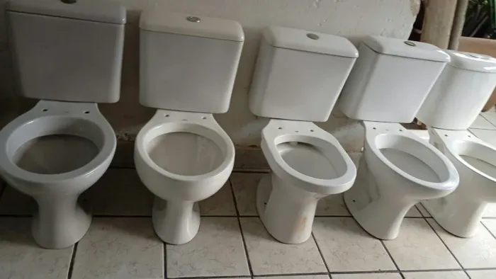 Bacias acopladas completas higienizadas. 250 cada uma!