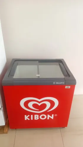 Freezer horizontal