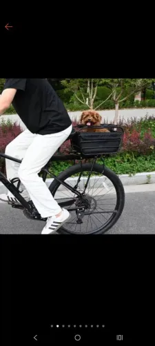 Cesto de bicicleta para cachorros