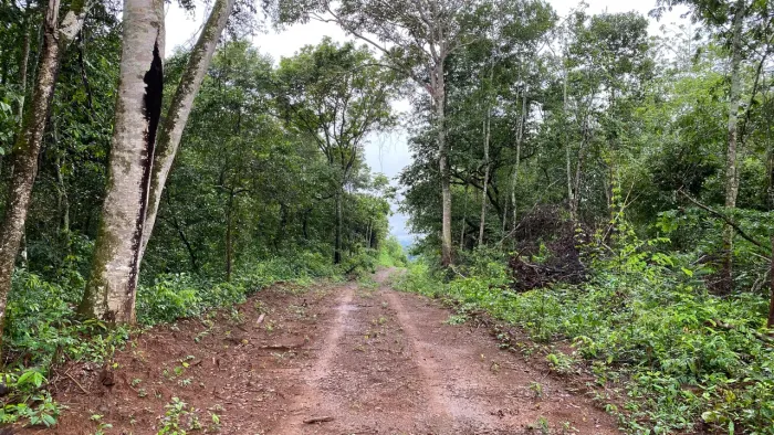 Chácara de 20mil mt em Roselandia são poucas unidades não perca!