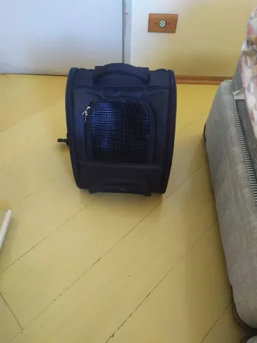 Bolsa nova transporte Pet pequeno porte