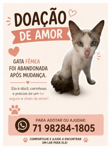 ADOÇÃO 