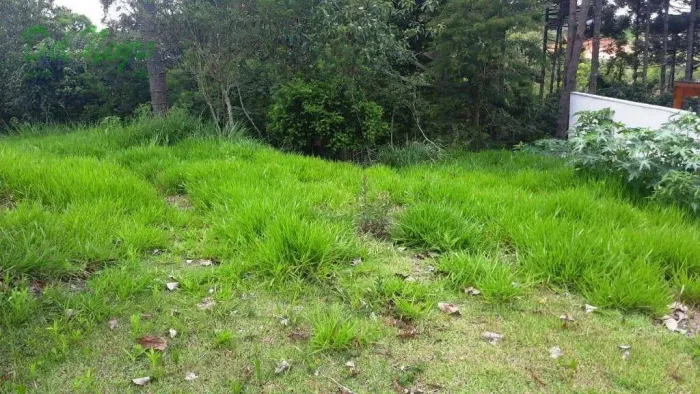 Terreno residencial à venda, 511 m² - Vintage, Granja Viana.