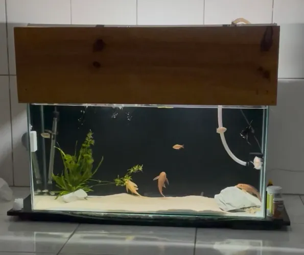 Aquário completo 150L