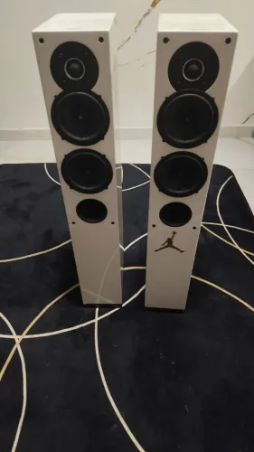 caixCaixa Torre de 3 vias, com design bass-reflex frontalIndiana Line Tesi 542