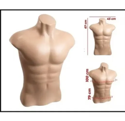 Manequim Busto Masculino 