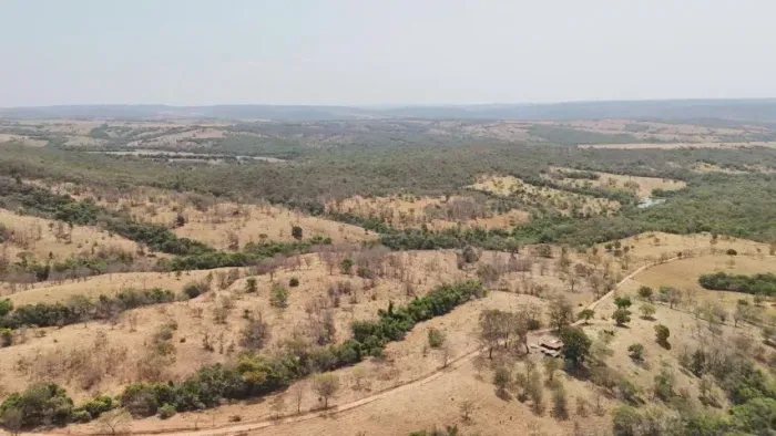 Fazenda 8,2 alqueires com benfeitorias em Caldas novas - Goiás