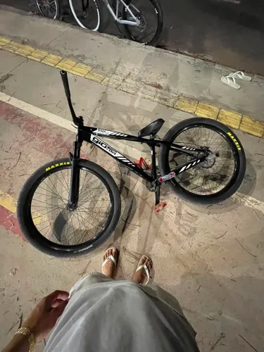 Bike Gios 29