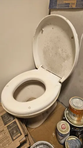Vaso sanitário 