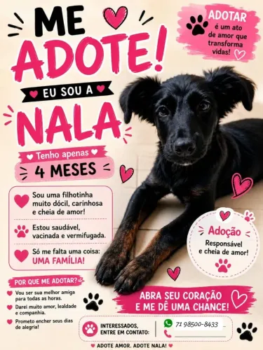 Cachorro pra adoção