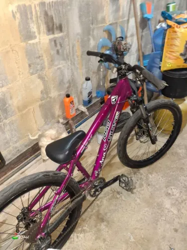 Gios frx 2013