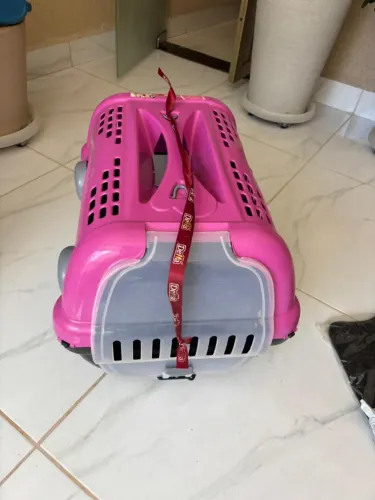 Caixa de transporte Pet tamanho G