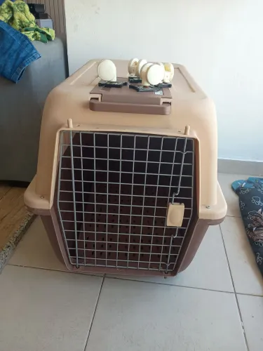 Caixa de transporte tamanho 5