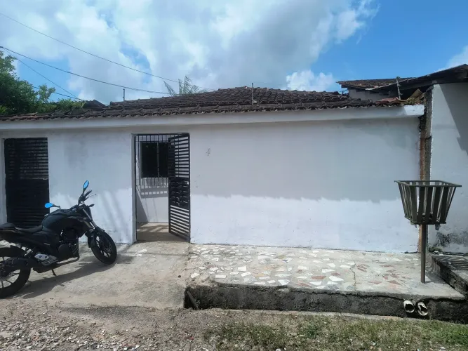 Novo horizonte II