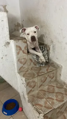 Doação responsável boa viagem