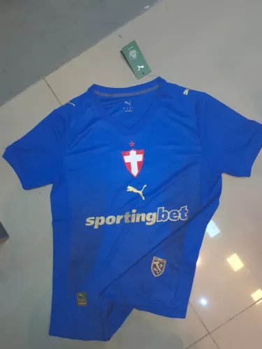 Camiseta Palmeiras Jogador