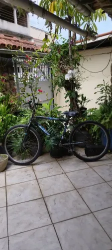 Bicicleta