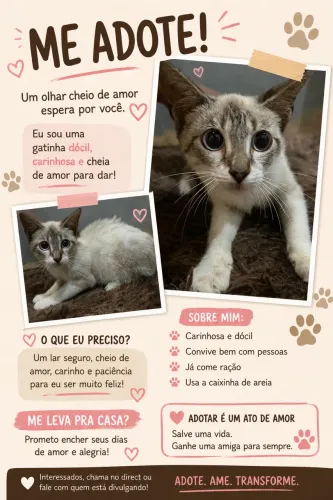 Adote essa gatinha
