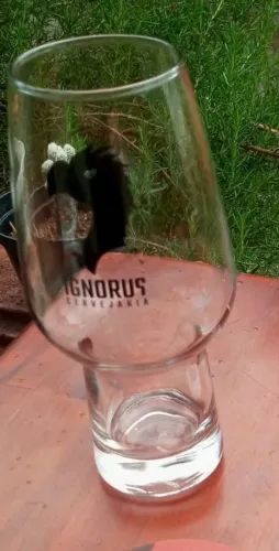 Copo cerveja IPA Ignorus 400ml