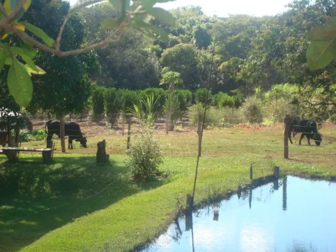 SITIO RURAL em LUZIANIA - GO, AMERICANOS MANSÕES RECREIO ESTRELA DALVA VI