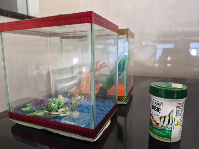 Vendo os 2 aquários e a ração na validade ainda