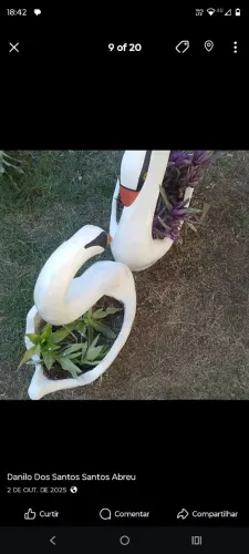 Vendo fôrmas para fazer vasos de plantas cisnes