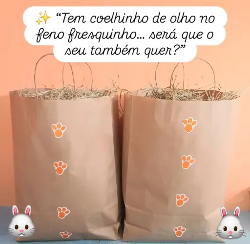 Feno