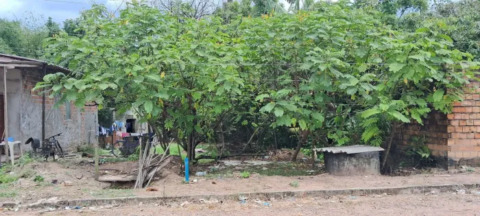 VENDO TERRENO 11 DE FRENTE POR 55 DE FUNDO