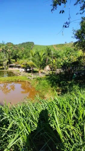 Fazenda no Pará Titulada