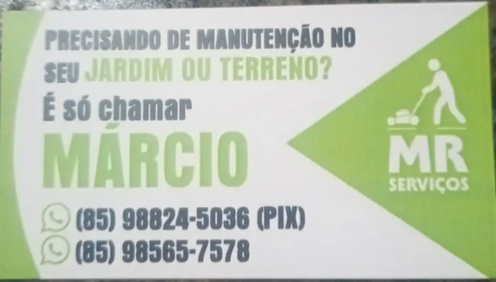Limpeza de terreno 