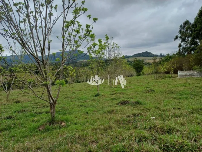 Chácara com 3 quartos à venda, 62007 m² por R$ 550.000 - Zona Rural - Tamarana/PR