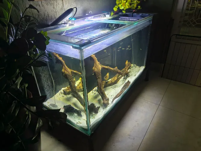 Aquário 300 litros