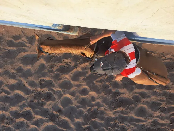 Potro nordestino 3 anos nao muito grande bom para pegar boi no mato e tambem para vaquejad