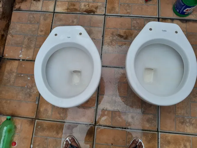 Vaso Sanitario